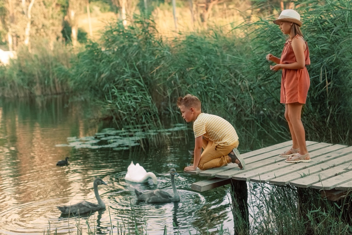 Two children on a dock watching swans and ducks of different colors on a pond