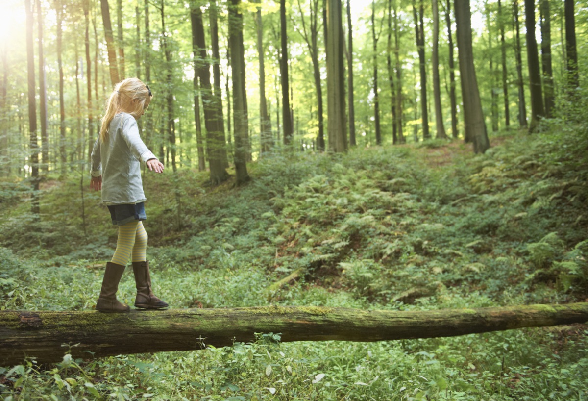 A child balancing along a fallen log in a sunlit forest